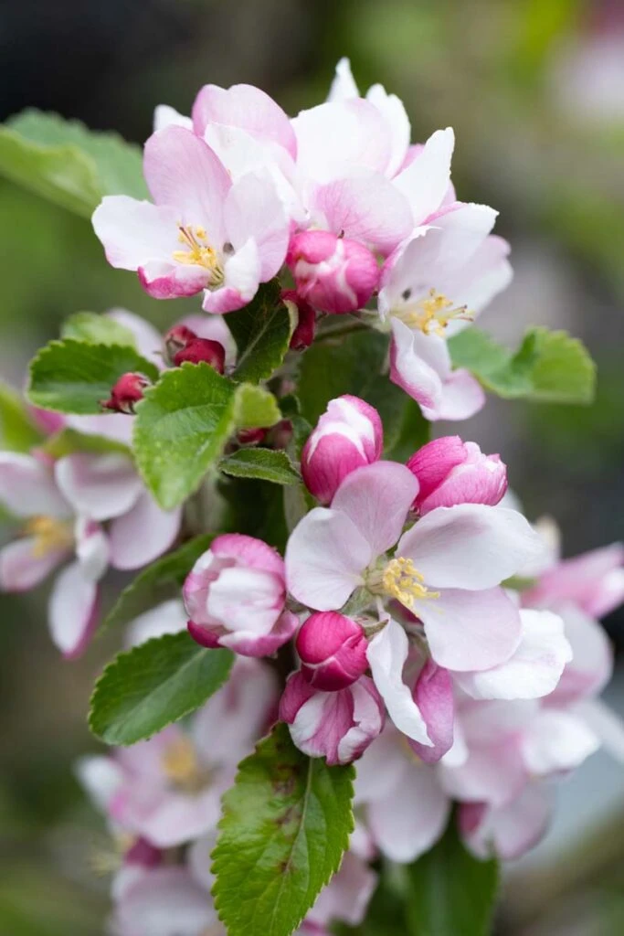 Sunset 4 Sunset - Image 2