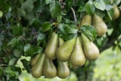 Conference 7 Conference -Tree Furnish Store 11858 15258 d7a6 1024x683 1