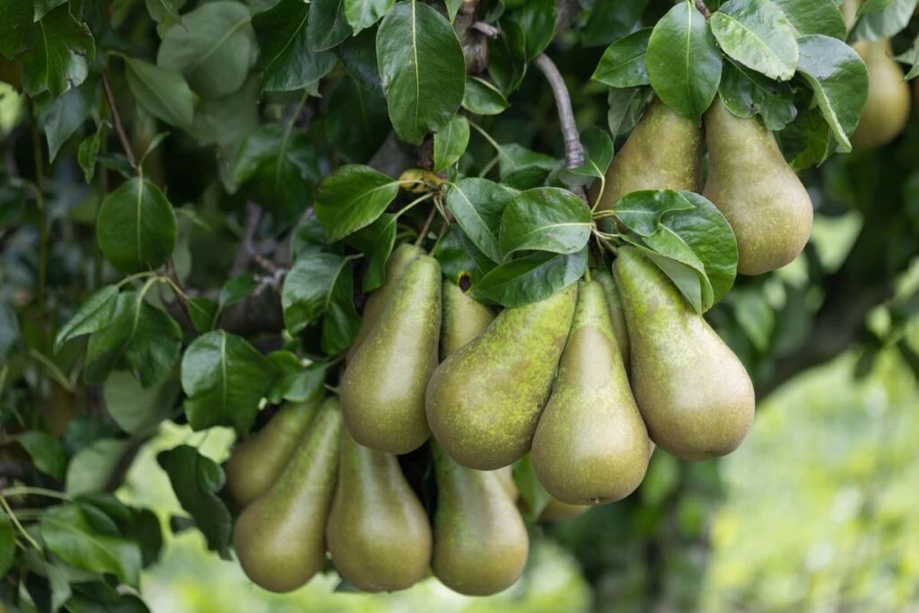 Conference 5 Conference - Image 3