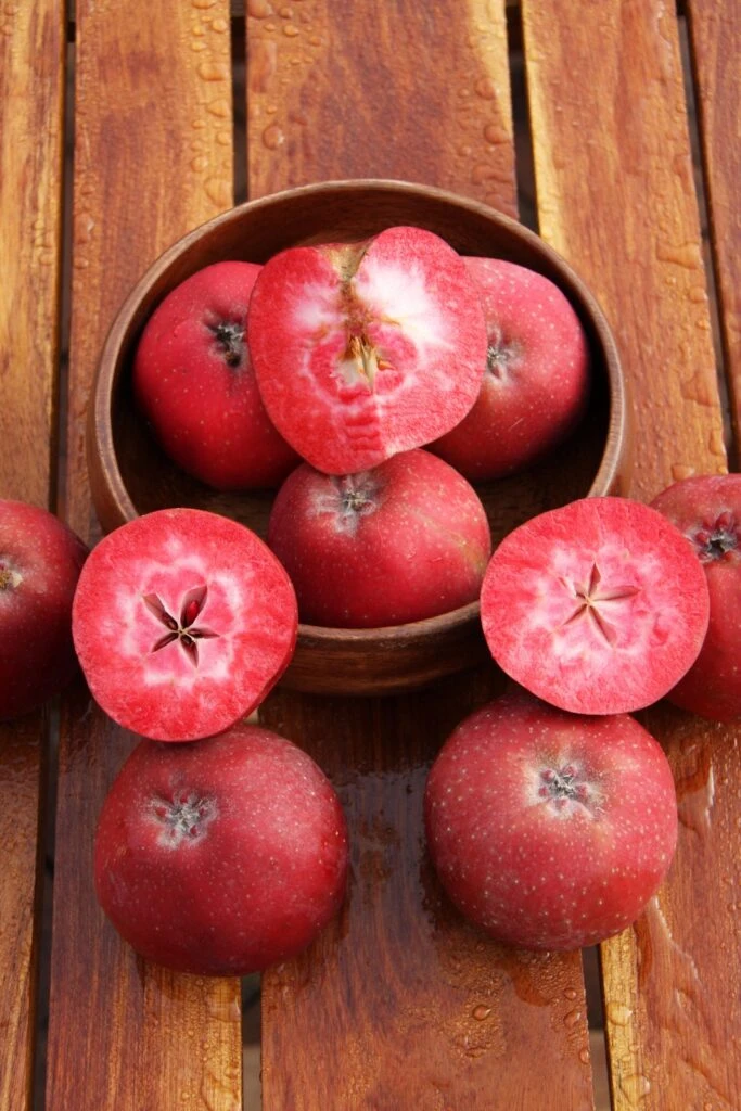 Trinity™ 4 Trinity™ - Image 2