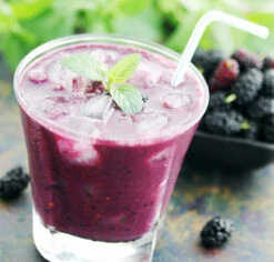 Mojo Berry® -Tree Furnish Store 13980 2 1