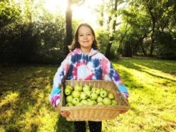 Julia’s Late Golden™ 7 Julia’s Late Golden™ -Tree Furnish Store 14775 12666 9a91 1024x768 1