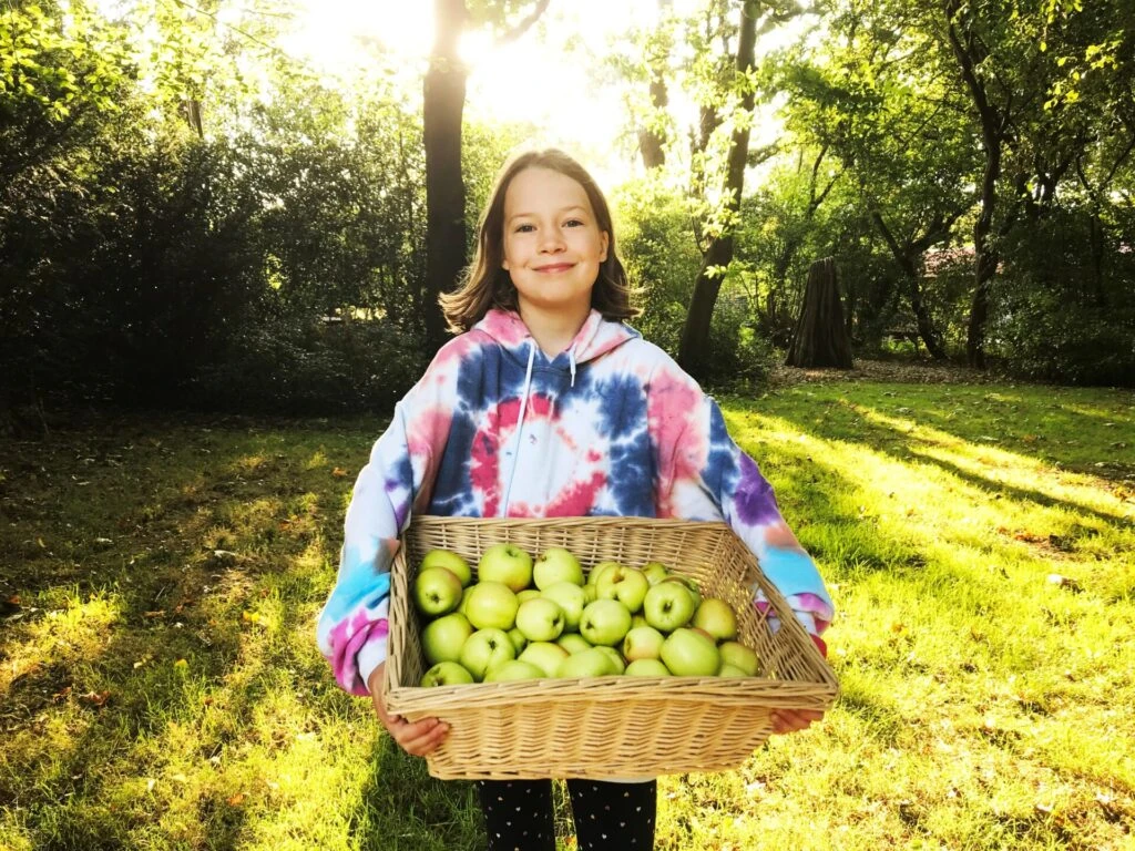 Julia’s Late Golden™ 5 Julia’s Late Golden™ - Image 3